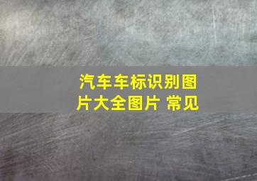 汽车车标识别图片大全图片 常见